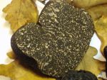 Vente de truffes noires perigord vente de truffe noire Truffe du Périgord Tuber Melanosporum